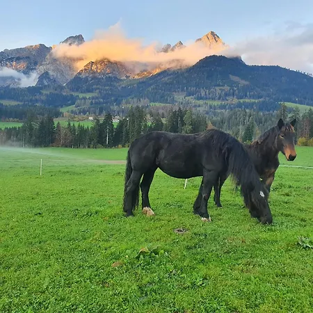 Mitterdiel Pfarrwerfen