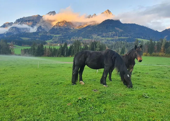 Mitterdiel Pfarrwerfen